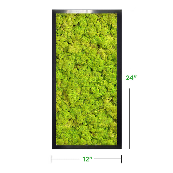 24 x 24 Moss Wall Art Panel Kit - Botanicus Green